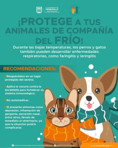 WhatsApp Image 2025-12-31 at 3.06.43 PM