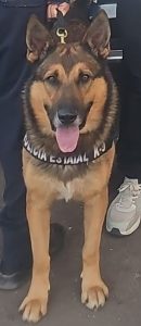 WhatsApp Image 2025-12-31 at 8.32.17 AM