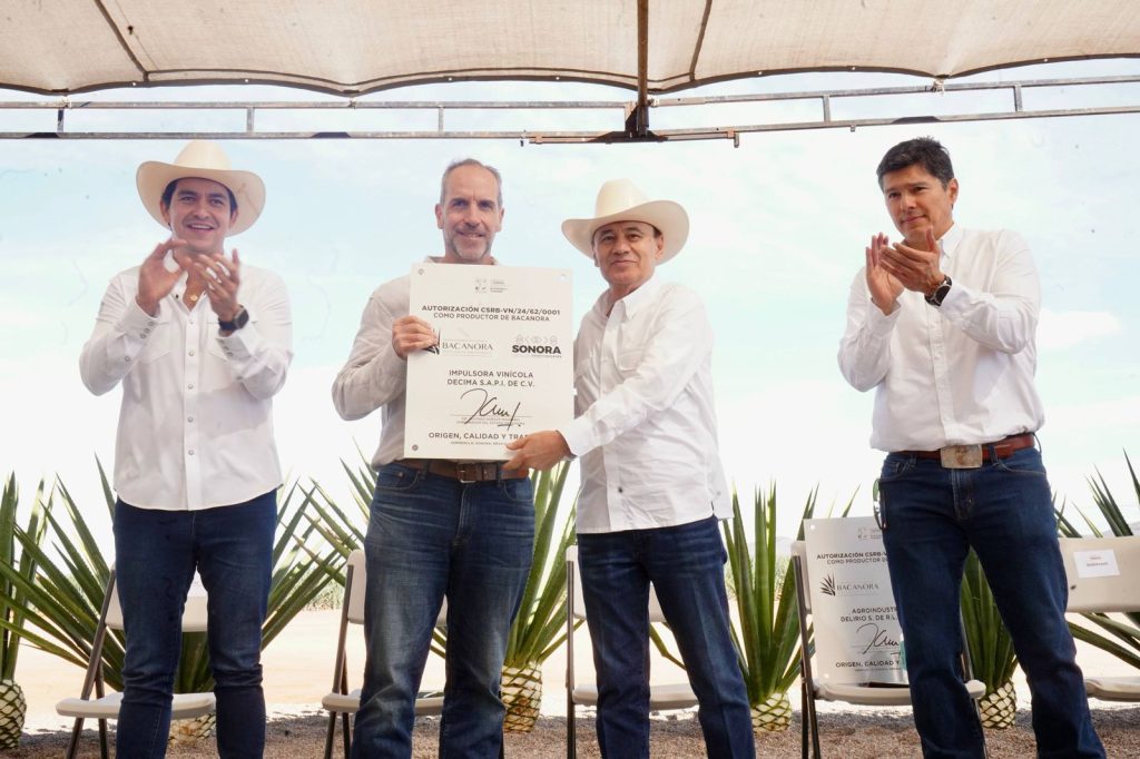 WhatsApp Image 2026-02-10 at 5.33.16 PM