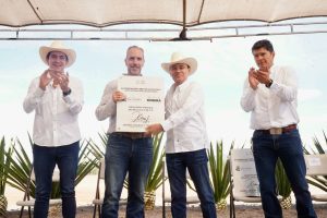 WhatsApp Image 2026-02-10 at 5.33.16 PM