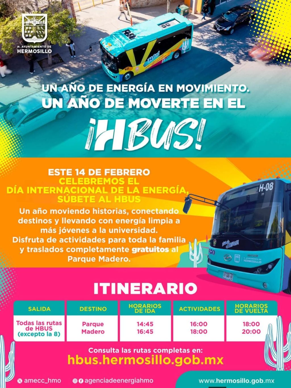 WhatsApp Image 2026-02-11 at 1.09.40 PM