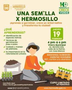 WhatsApp Image 2026-02-17 at 4.52.14 PM