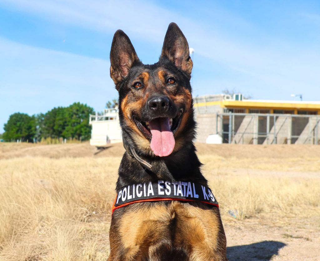 WhatsApp Image 2026-02-26 at 4.55.29 PM